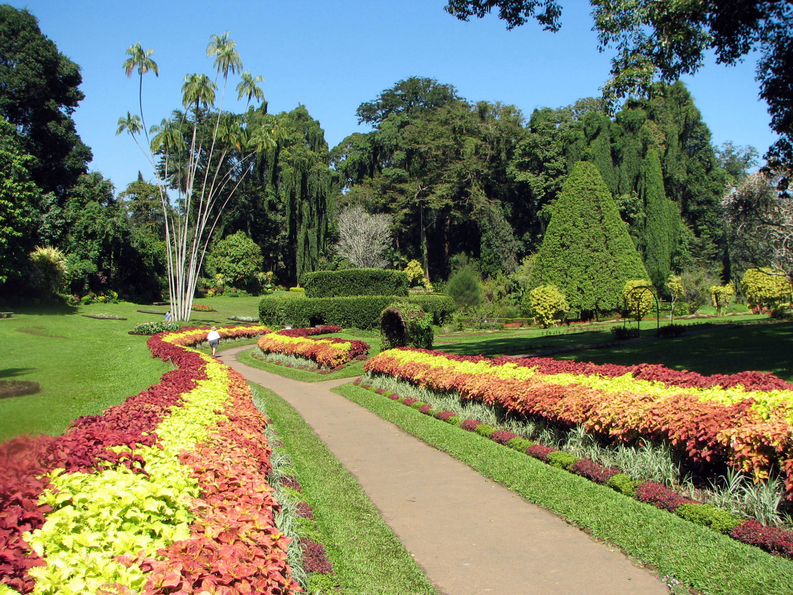 Peradeniya Gardens